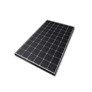 Pin mặt trời Gintung 260W